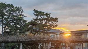 台北 + 關西之旅•五：從黑門市場到奈良公園