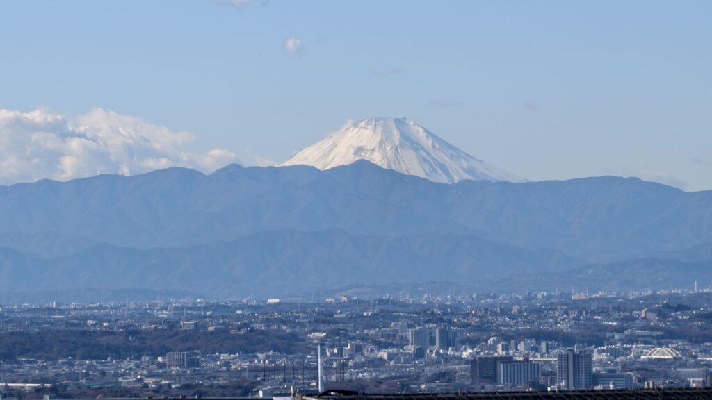 東京一轉•四：返回城巿 – 從佐野到涉谷Shibuya Sky