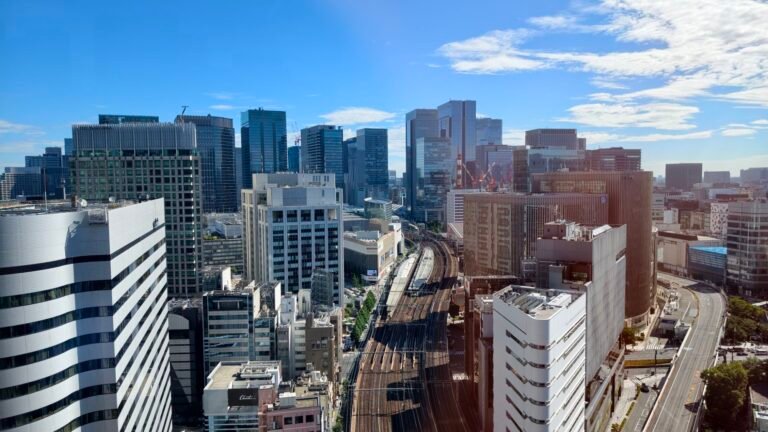 花千樹▪︎星如雨（四）：東京微物語